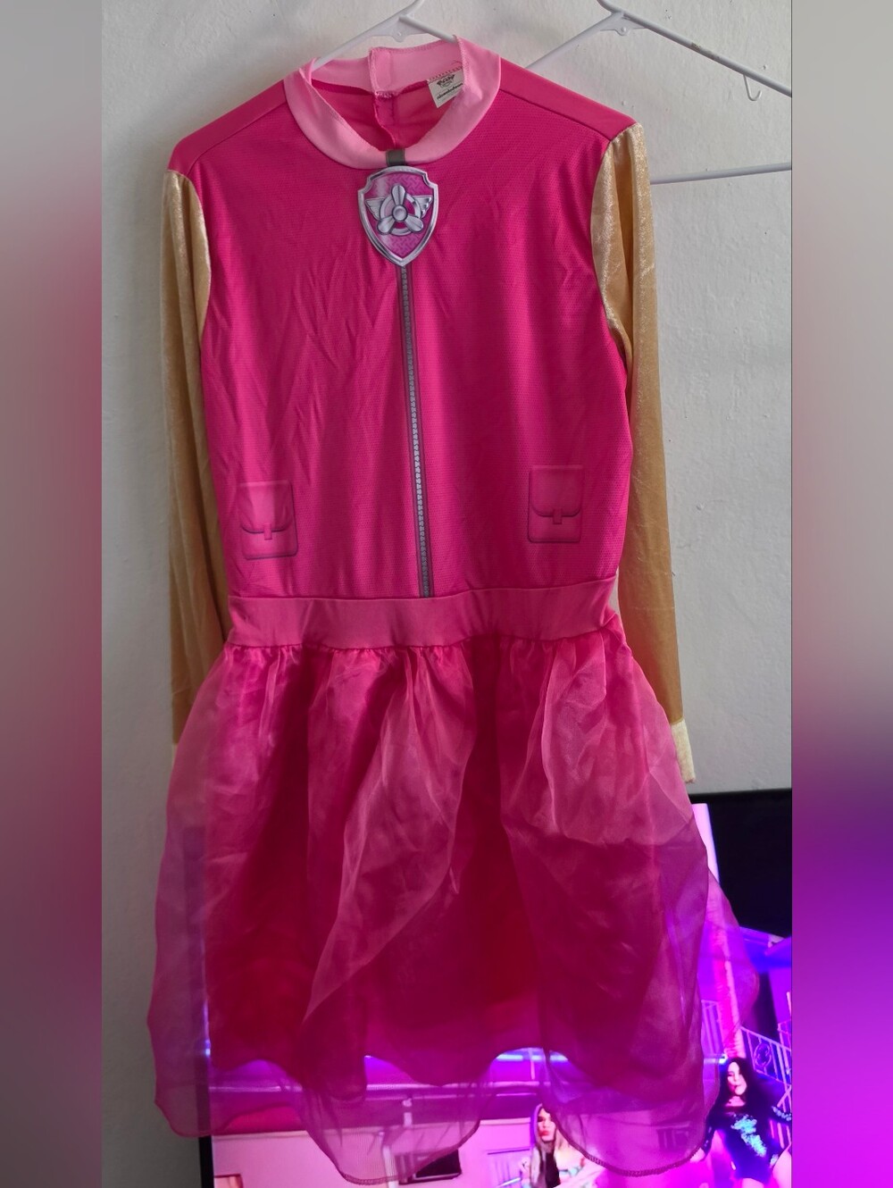 Paw Patrol Skye Costume